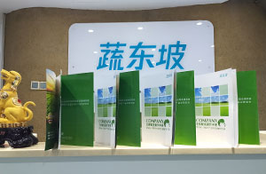 公司概况