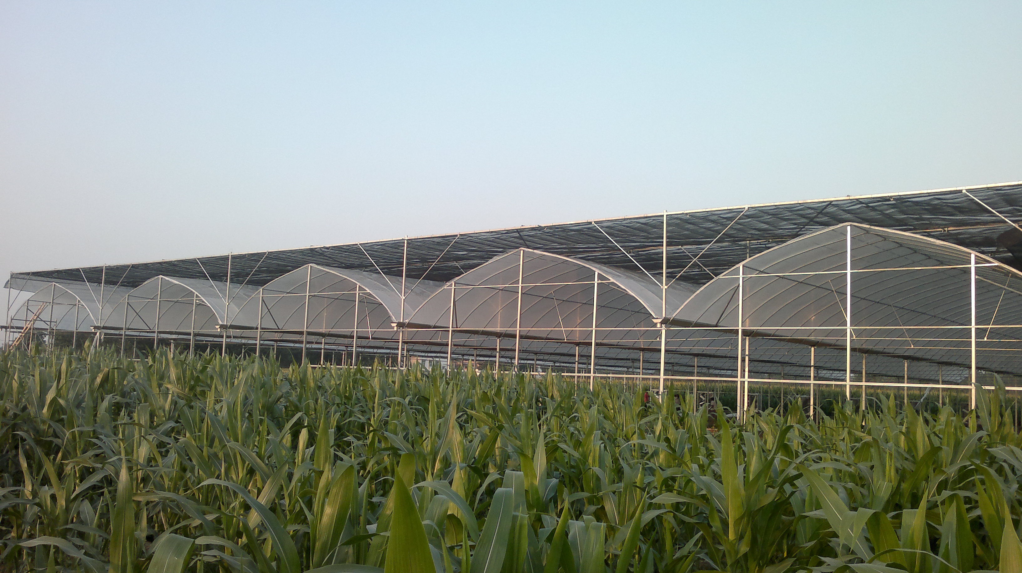 美团买菜店员工资多少,美团买菜运营模式是怎样的